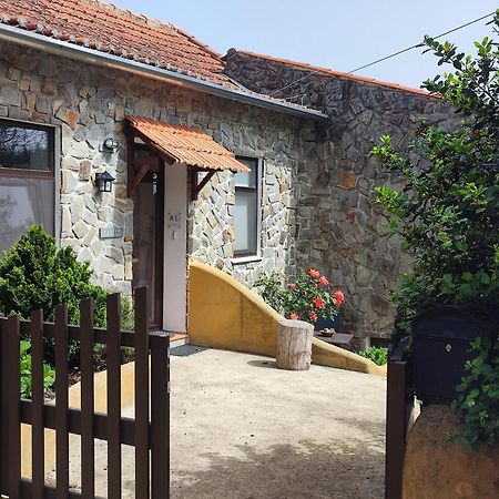 Alojamento Casa Do Cabeco Alombada Macinhata do Vouga Zewnętrze zdjęcie