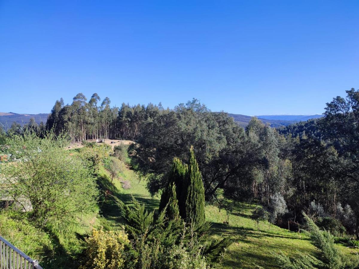 Alojamento Casa Do Cabeco Alombada Macinhata do Vouga Zewnętrze zdjęcie