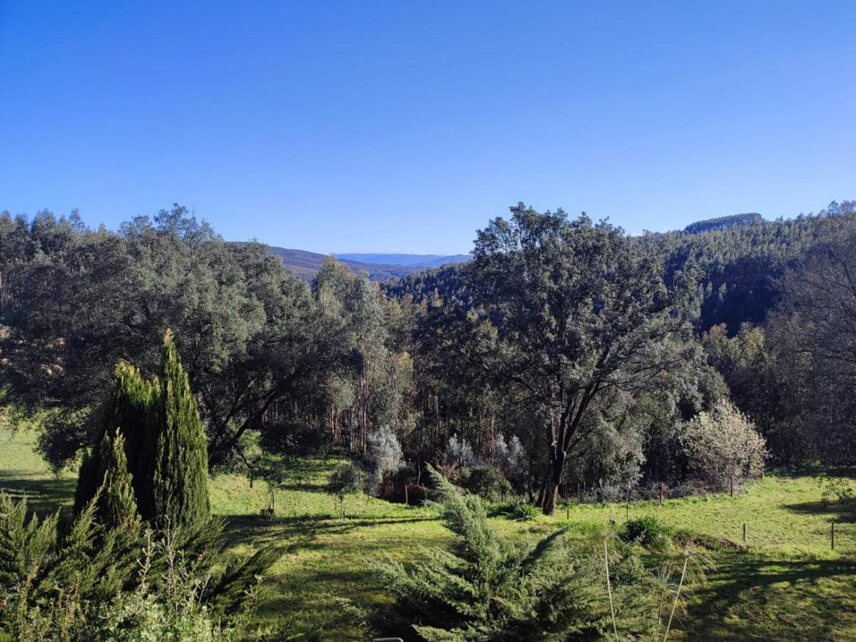 Alojamento Casa Do Cabeco Alombada Macinhata do Vouga Zewnętrze zdjęcie