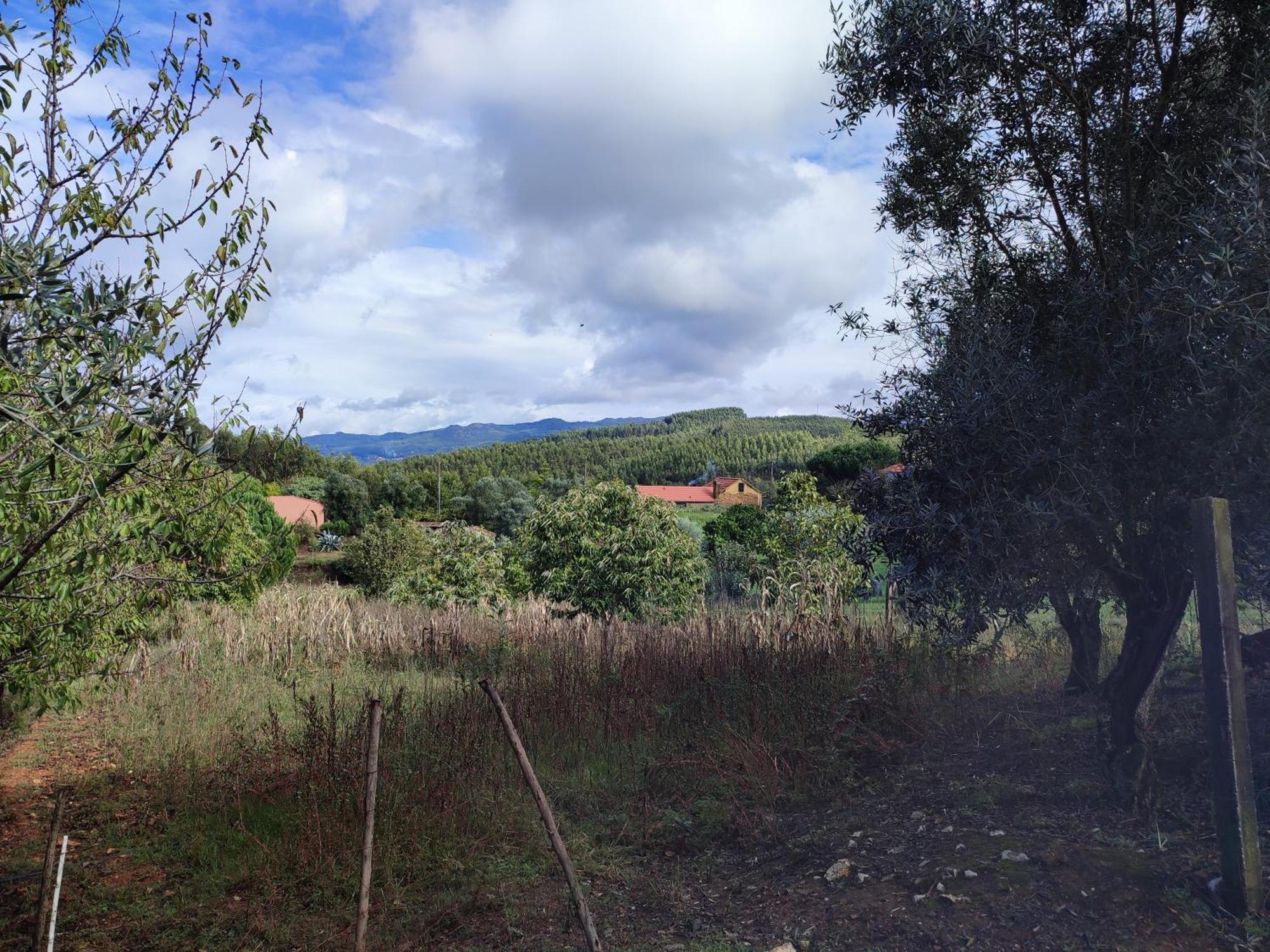 Alojamento Casa Do Cabeco Alombada Macinhata do Vouga Zewnętrze zdjęcie